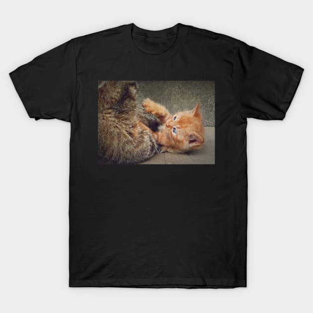 Playful orange kitten T-Shirt by psychoshadow